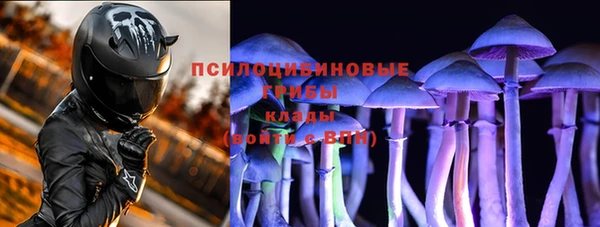 ПСИЛОЦИБИНОВЫЕ ГРИБЫ Заволжье