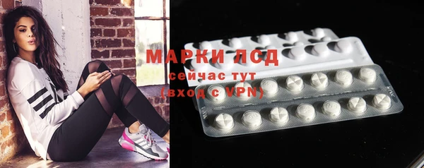 ПСИЛОЦИБИНОВЫЕ ГРИБЫ Заволжье