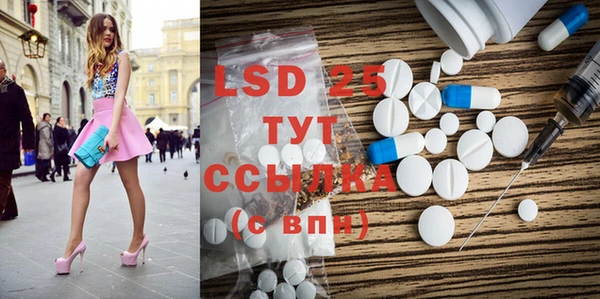 ПСИЛОЦИБИНОВЫЕ ГРИБЫ Заволжье