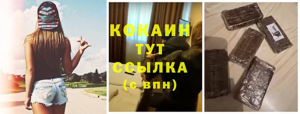 ПСИЛОЦИБИНОВЫЕ ГРИБЫ Заволжье