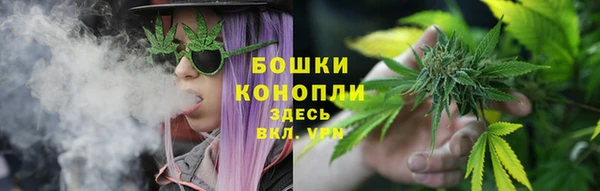 мдпв Заволжск