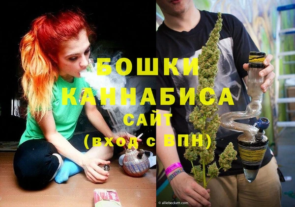 ПСИЛОЦИБИНОВЫЕ ГРИБЫ Заволжье