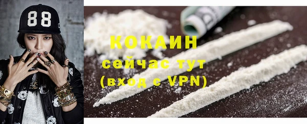 ПСИЛОЦИБИНОВЫЕ ГРИБЫ Заволжье