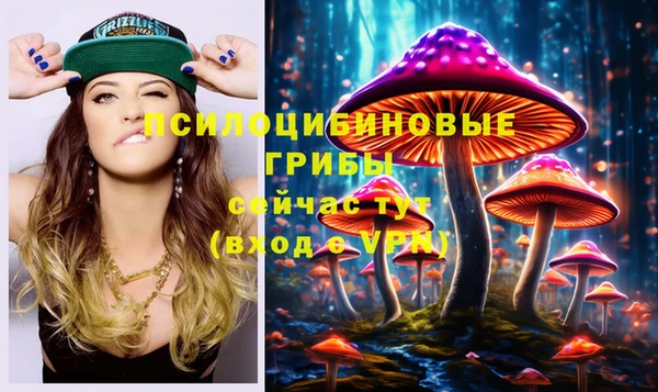 MDMA Premium VHQ Заводоуковск